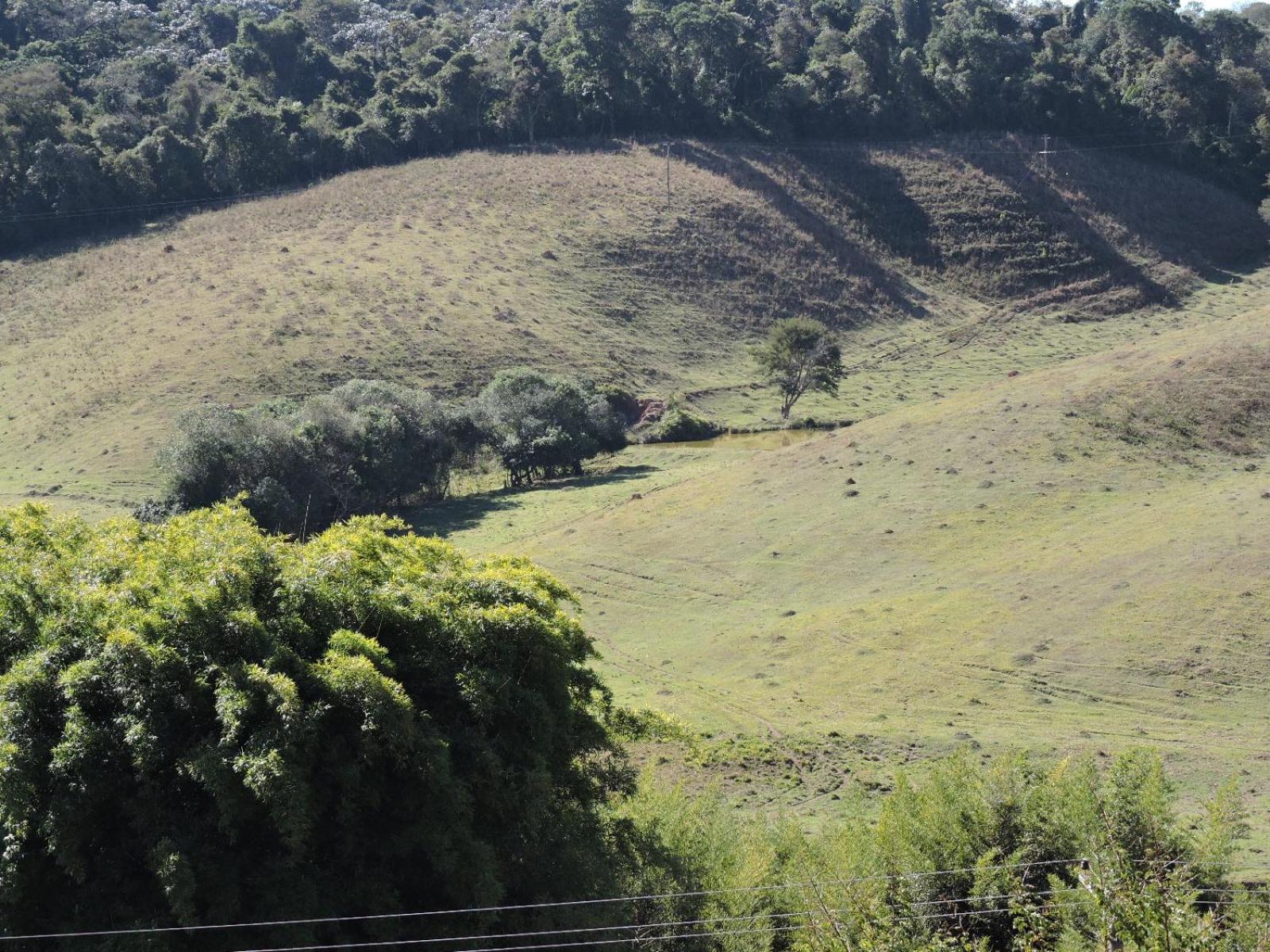 Pousada Vista Verde Cunha Ruang foto