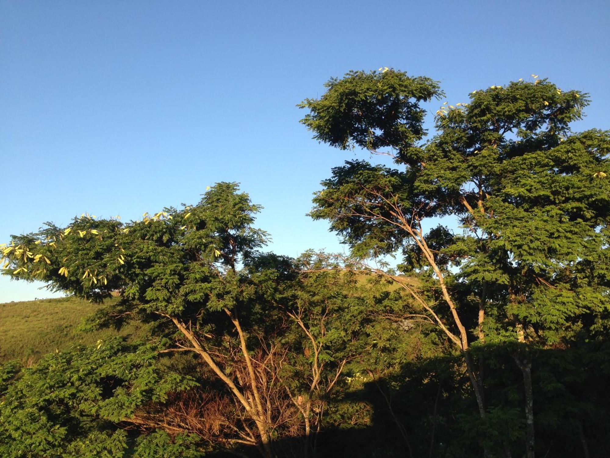 Pousada Vista Verde Cunha Ruang foto